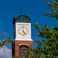 Top of the Carillon Tower among trees